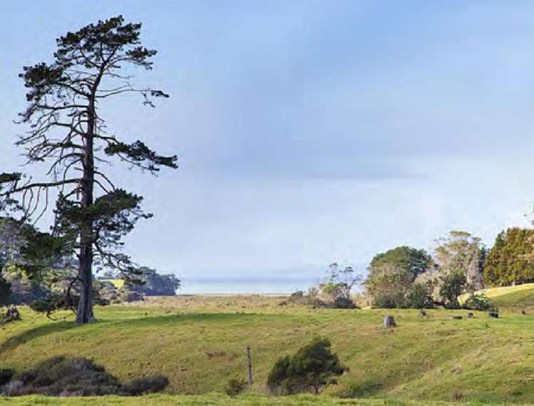 2938 Awhitu Road Awhitu_1