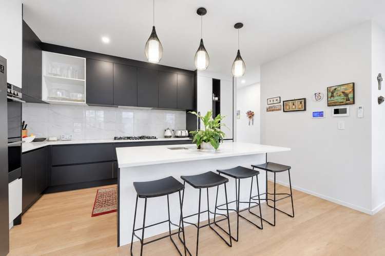 11 Black Shed Road Flat Bush_3
