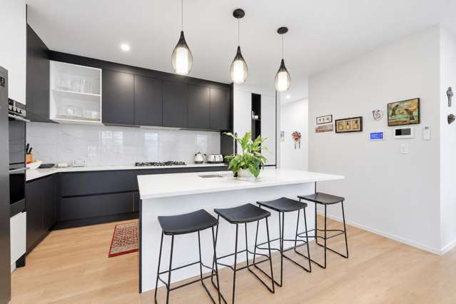 11 Black Shed Road Flat Bush_4