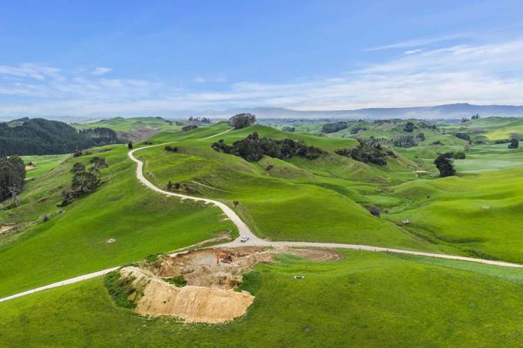 310 Paparamu Road Piarere_14