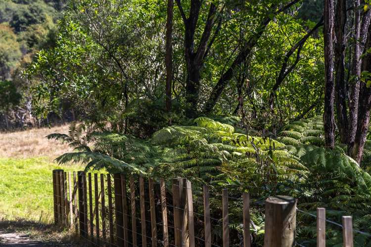 1223 Old North Road Waimauku_38