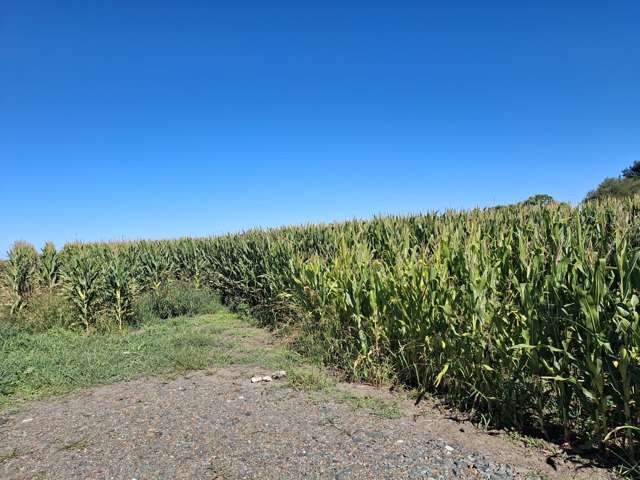 No 1 Road Springdale_2