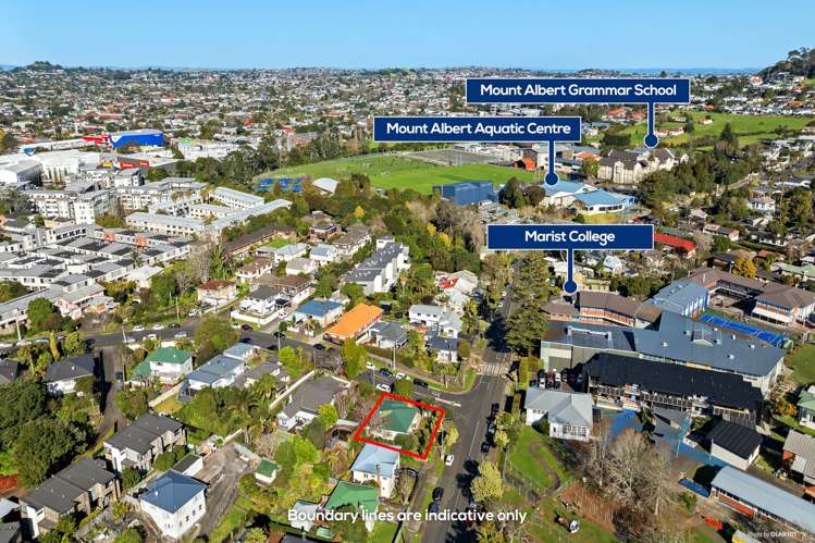 18 Alberton Avenue Mt Albert_13