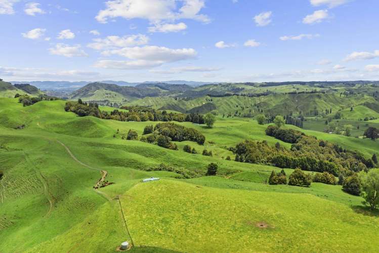 878 Mokauiti Road Aria_14