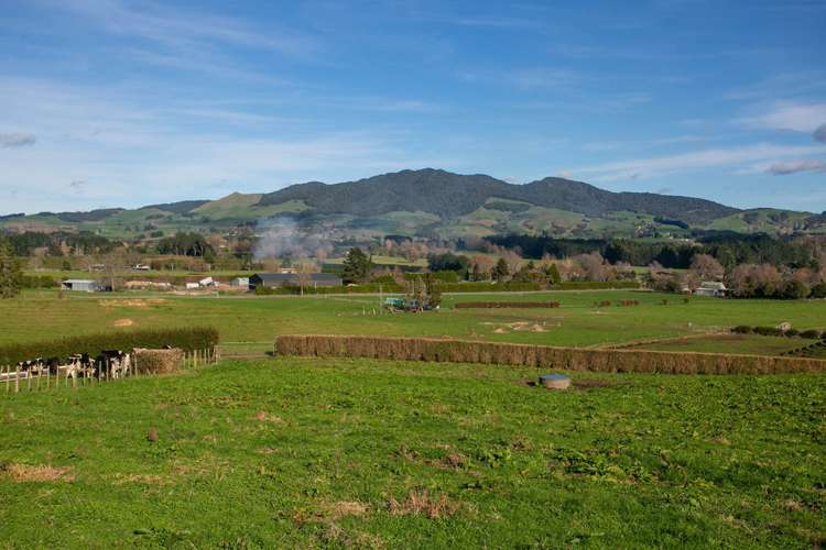 899 Maungatautari Road Cambridge_4