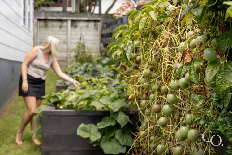 132a Sutherland Road Brookfield_19