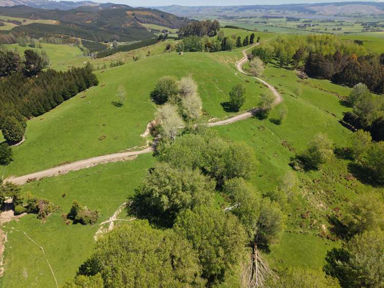 66 Otokia-Kuri Bush Road West Henley_10