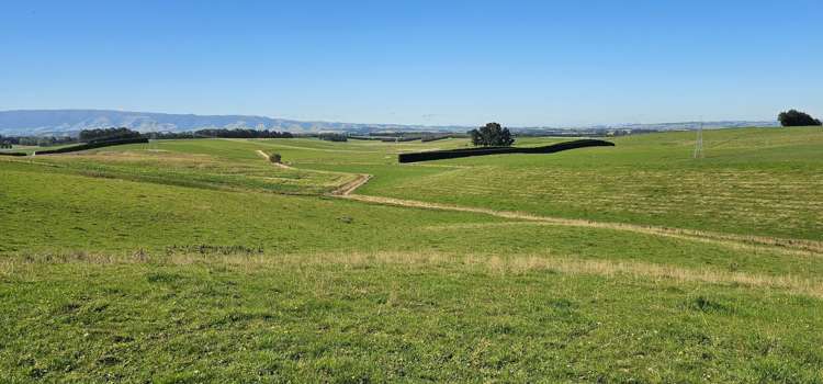 465 Adam Fleming Road Crossans Corner_18