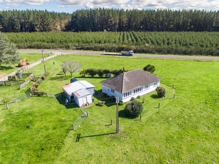 667a Kopuriki Road Murupara Surrounds_16