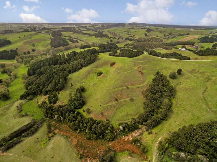 46 Aroha Road Te Arai_10