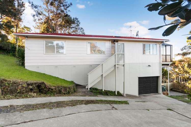 329 Don Buck Road Massey_2