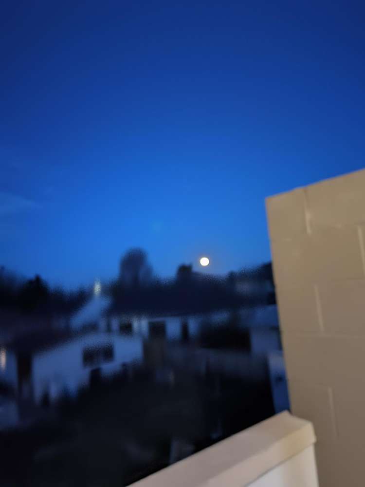 10/9 Cameron Street Sydenham_16