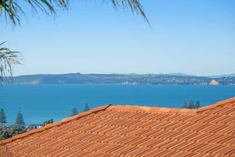 115 Waldorf Crescent Orewa_4