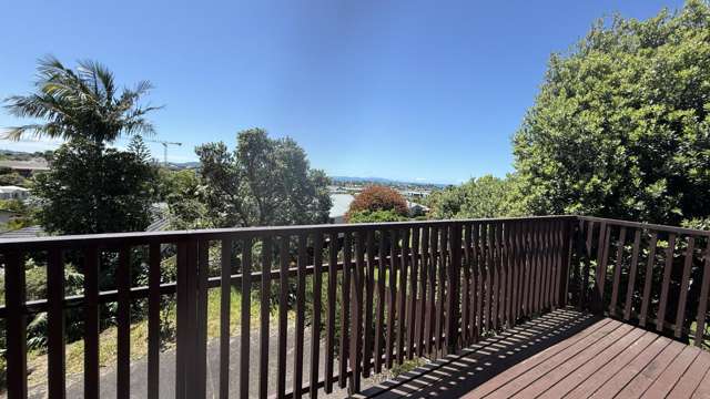 40 Whangaparaoa Road Red Beach_2