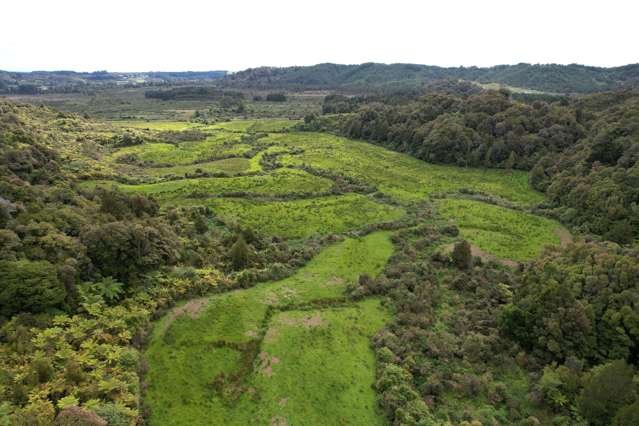 Marsden Road Greymouth_1