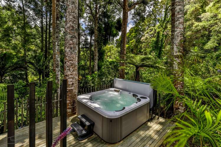 107 Waima Crescent Titirangi_17