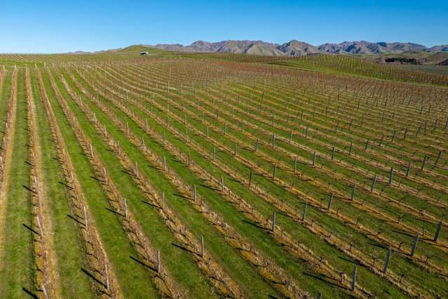 51 Tallotts Road Seddon_4