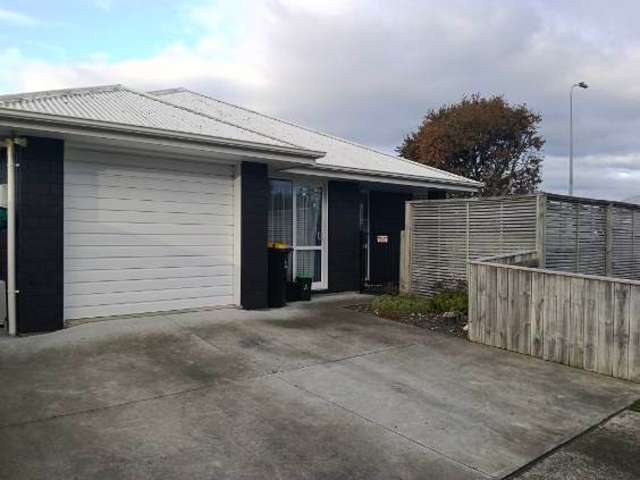  A/1 Trewin Street Feilding_1