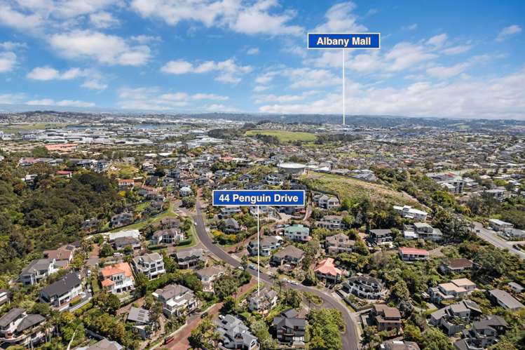 44 Penguin Drive Murrays Bay_24