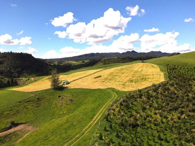 1/1745 Arapuni Road Parawera_15