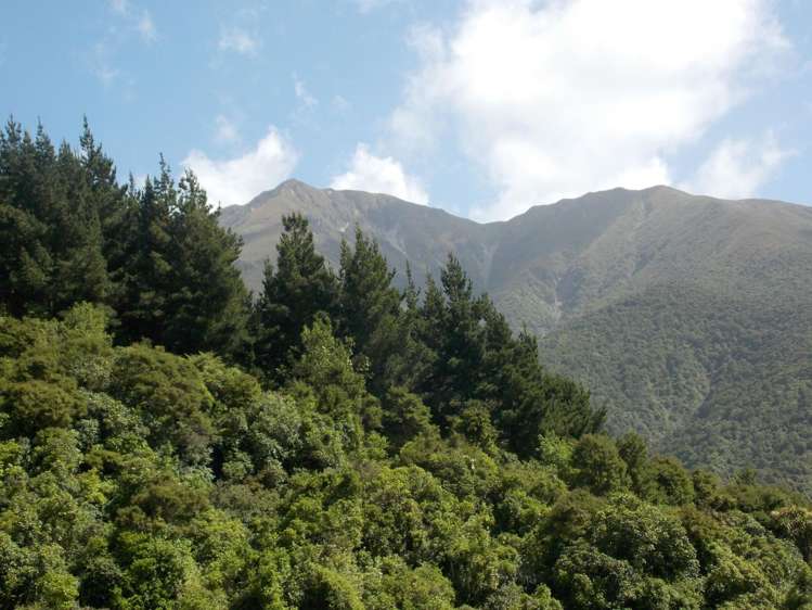 Blandswood Road Timaru_1