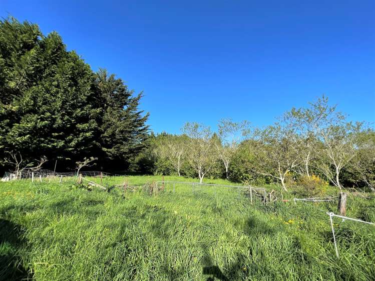 25 Newport Street Milton_9