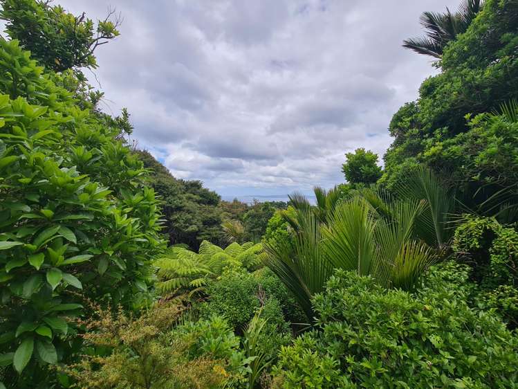 51B Waihirere Drive Coromandel_20