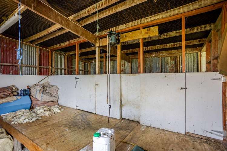 55 Troup Road Woodville_10