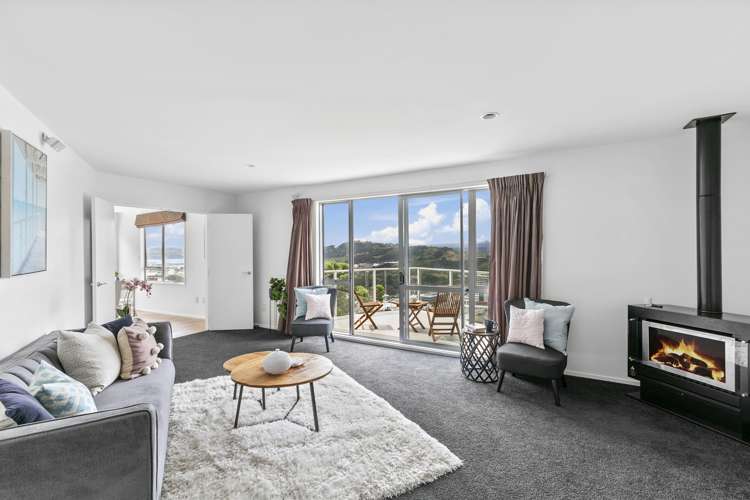 2b Pearce Street Vogeltown_4