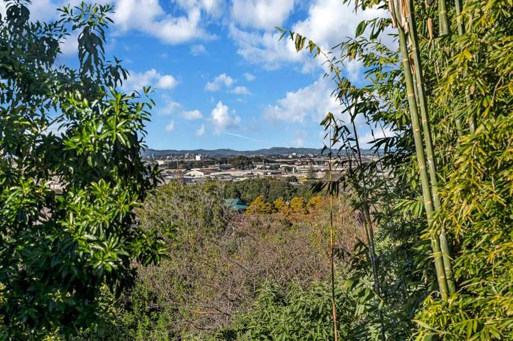 67A Ngatiawa Street One Tree Hill_37