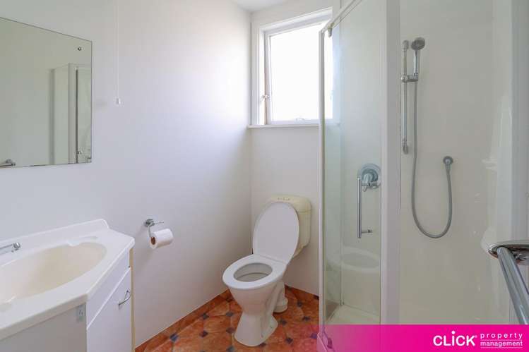 157 Carroll Street 2202_12