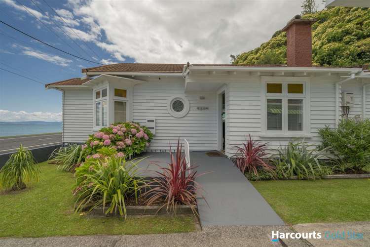 530 Tararu Sh25 Road Thames_10