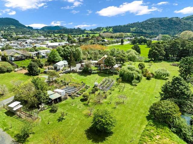 83 Alcoba Street Te Kamo_2