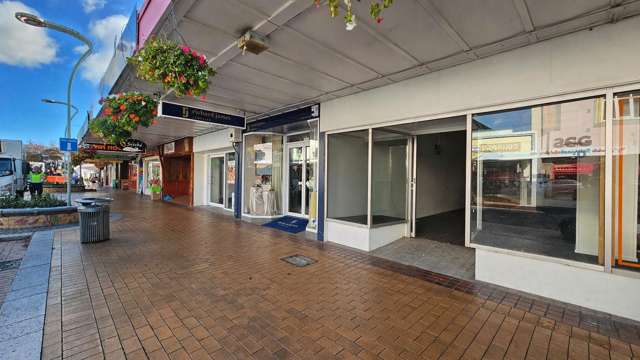 114 Heretaunga Street East Hastings_1