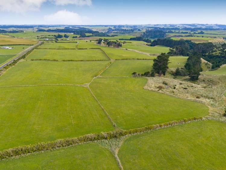 116 Karahaki Road Waverley_14