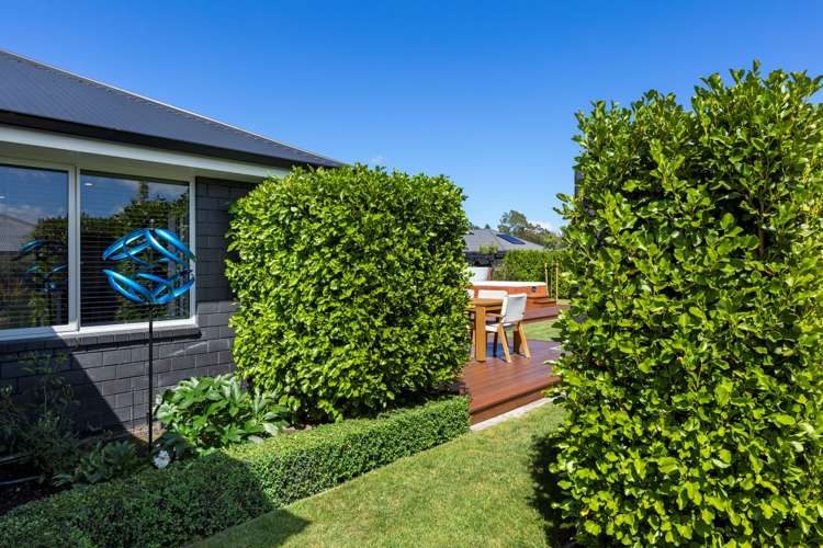 198 Taylor Pass Road Witherlea_33