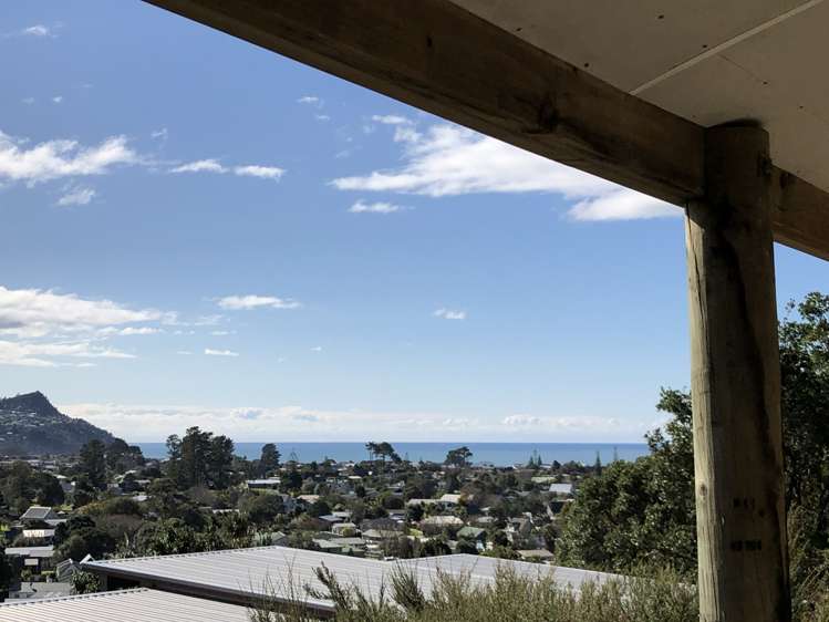 1206e Hikuai Settlement Road Pauanui_6