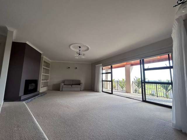 145 Runciman Road Pukekohe East_4