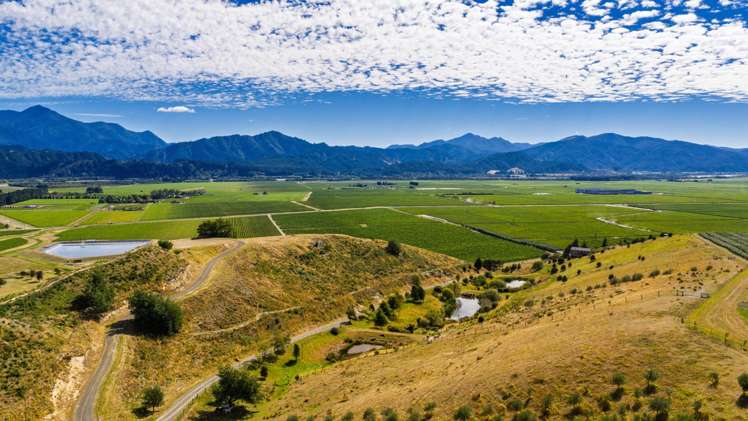 669 State Highway 63 Renwick_6