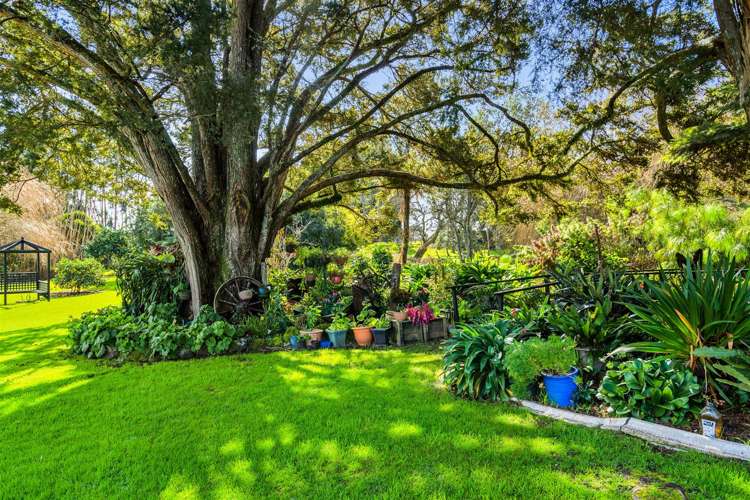 285 Crane Road Kauri_29