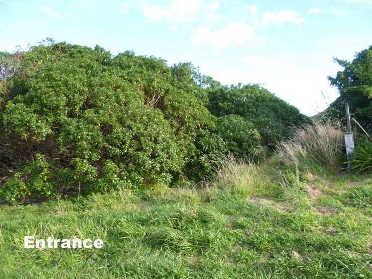 1 Mangatoetoe Grove Cape Palliser_7