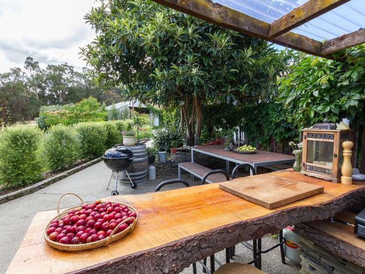 2464 Tarras-Cromwell Road Westland Surrounds_8