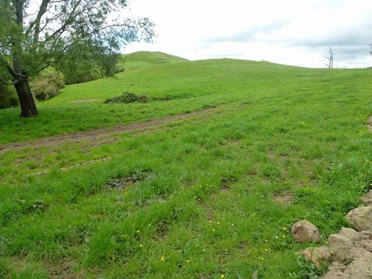 1265 Mountain Road Inglewood_7