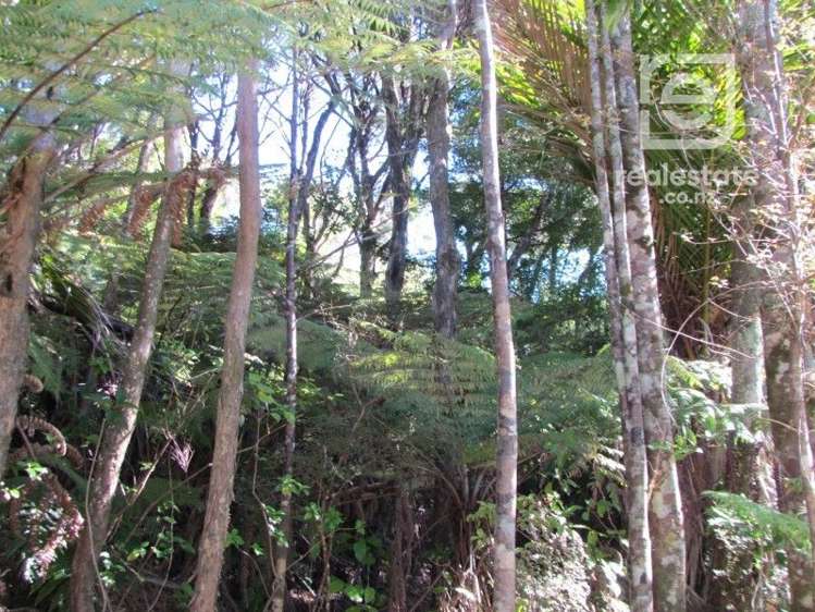 537B Tuateawa Road Tuateawa_6