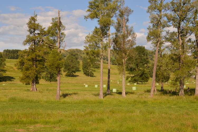 370 State Highway 3 Te Mapara_9