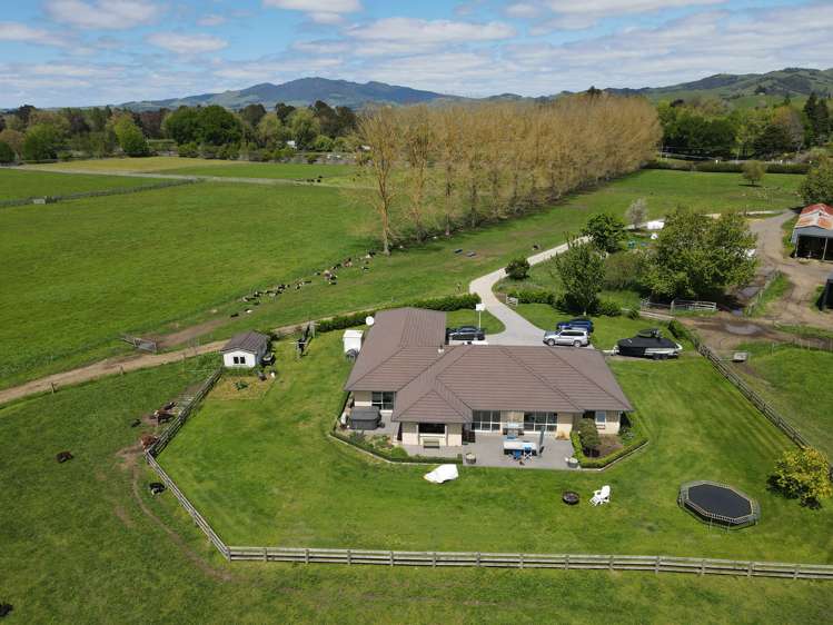 2/573 Tirau Road Cambridge_14