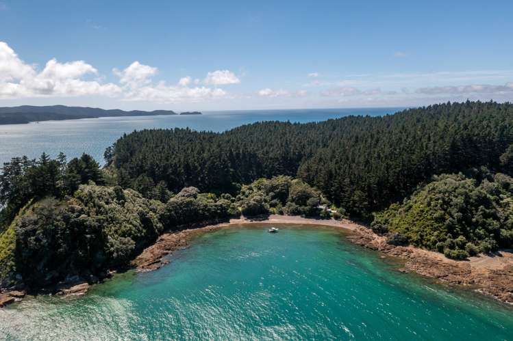 Motuketekete Island Kawau Bay_16