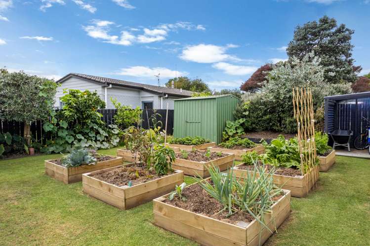 243 Gravatt Road Papamoa_2