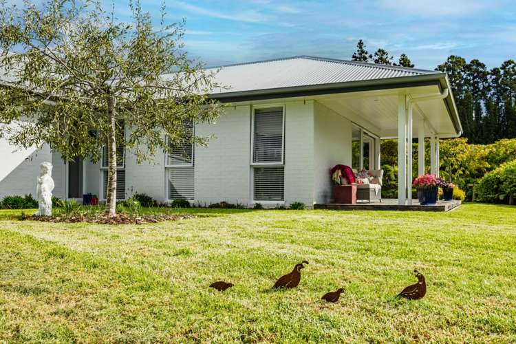 73D Riddell Road Kerikeri_35