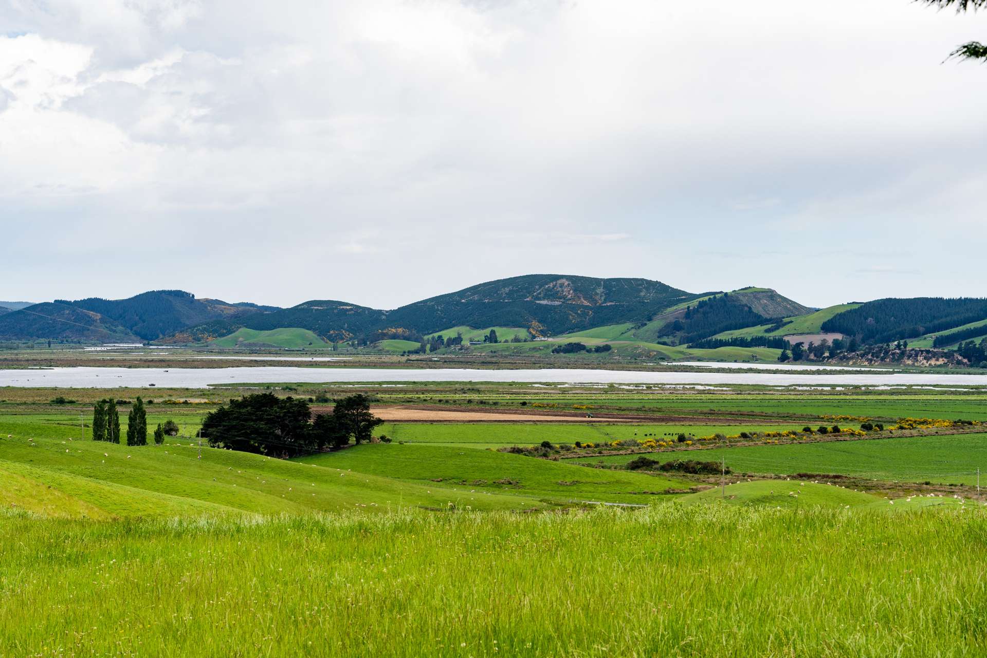 Lot 3 Waihola Hill Road Waihola_0